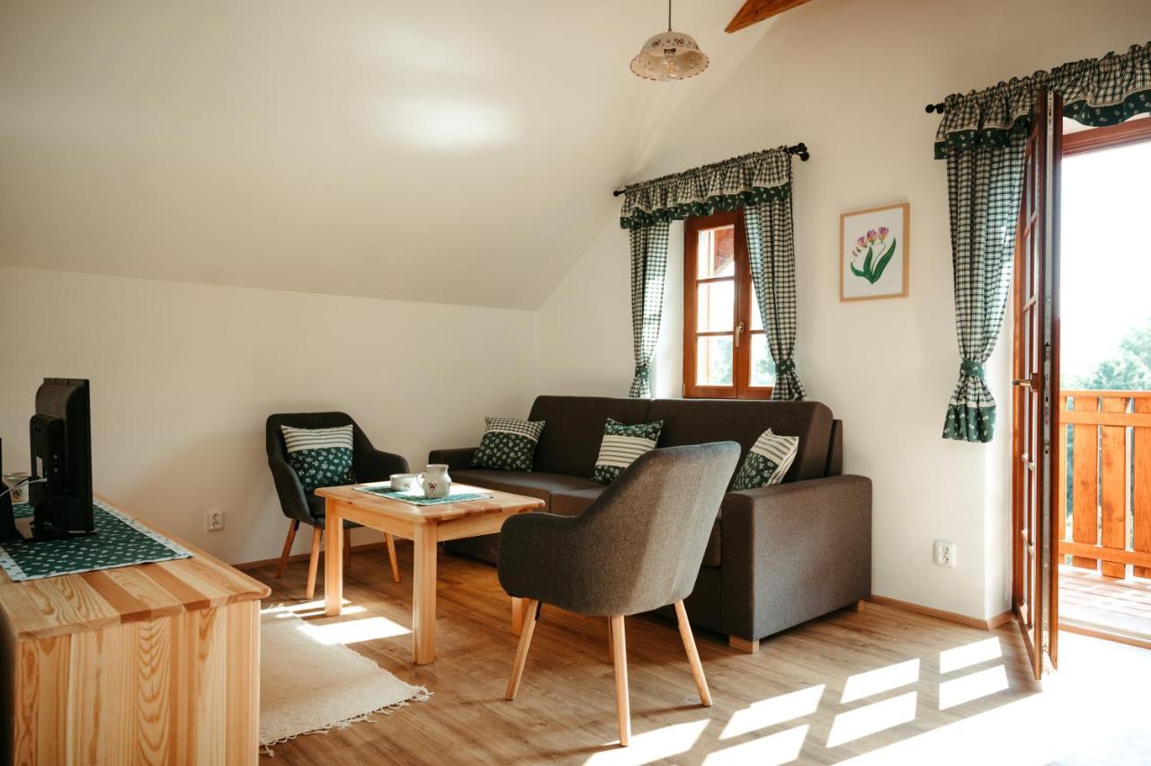 Penzion Stribrnik Krásná Esterno foto